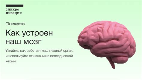 Как пятибуквенное слово с четырьмя "о" тренирует наш мозг