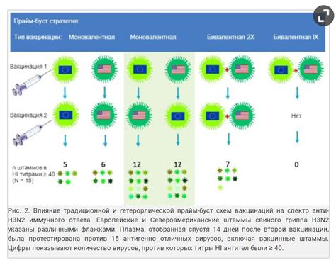 Как работает гетерологический прайм буст