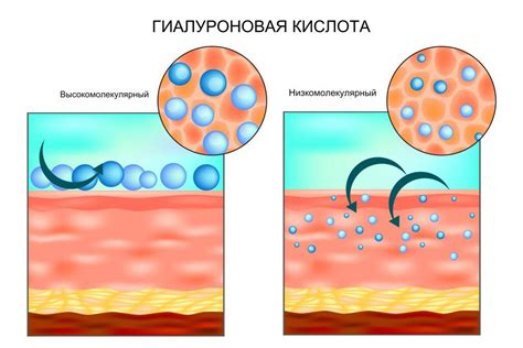 Как работает гиалуроновая кислота в организме