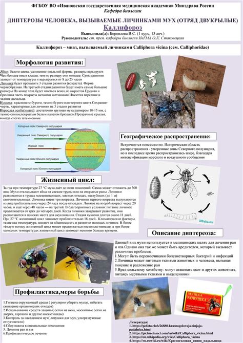 Как уменьшить вероятность заражения отложенными личинками мух?