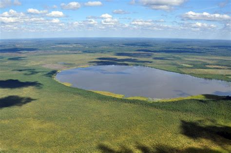 Капибары и традиционные водоемы: реки, озера и болота