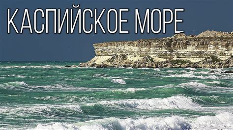 Каспийское море: уникальная среда для молек рыбы-скомбрии