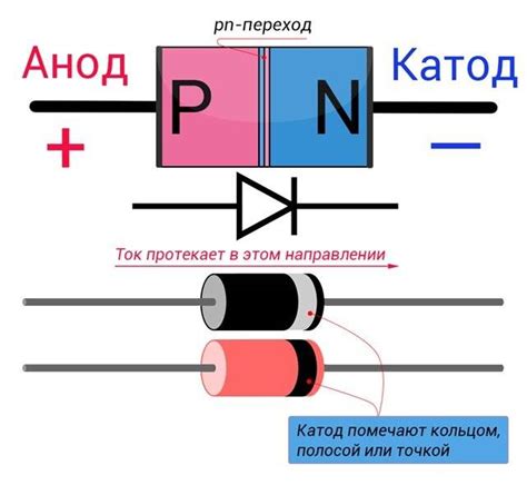 Катод и анод в электронных устройствах: как различить правильно?