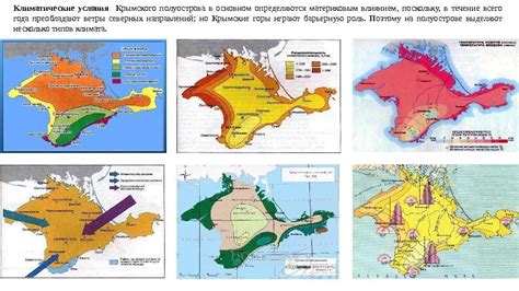 Климатические и экологические условия Крымского полуострова: совершенное место для выращивания тыкв, арбузов и дынь