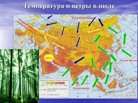 Климатические особенности: Сравнение погоды и сезонов