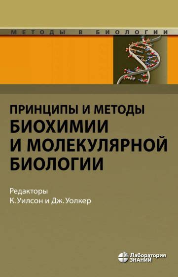 Ключевые принципы молекулярной теории и ее применение в науке и технологиях