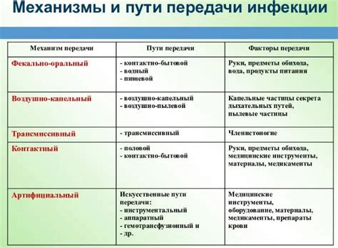 Ключевые пути передачи и сохранения мудрости от предков