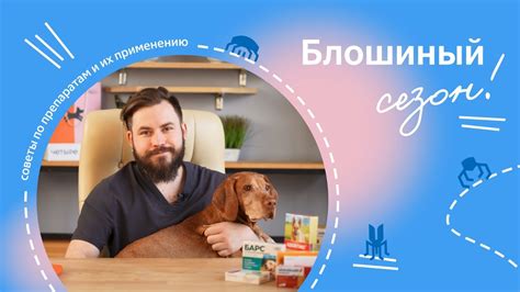 Комплексный подход: обработка окружения питомца