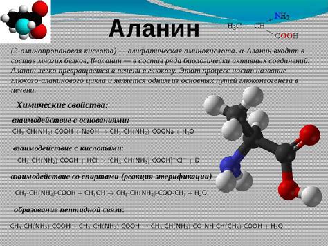 Комплементарное взаимодействие креатина и бета аланина