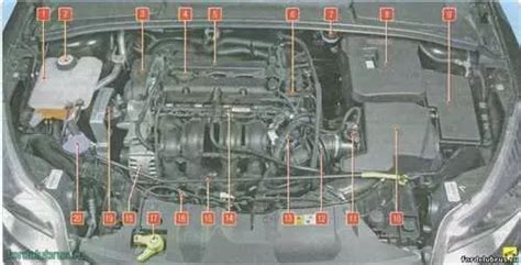 Компоненты электрической системы автомобиля Ford Focus 3