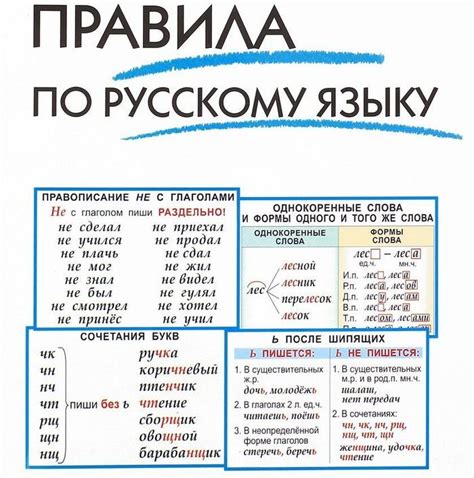 Кому подходит изучение русского языка с Ли Дон Ук