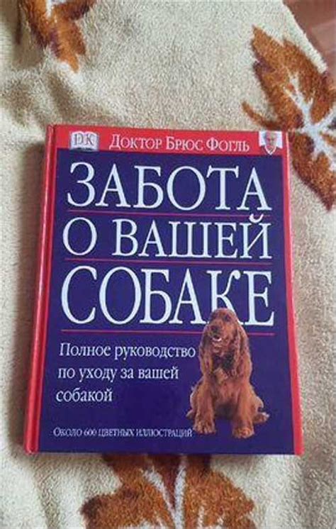 Комфорт и безопасность вашей питомицы: забота о собаке с использованием специальных средств