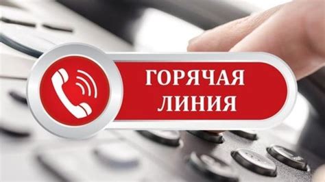 Контактные телефоны горячей линии для обращений и предложений