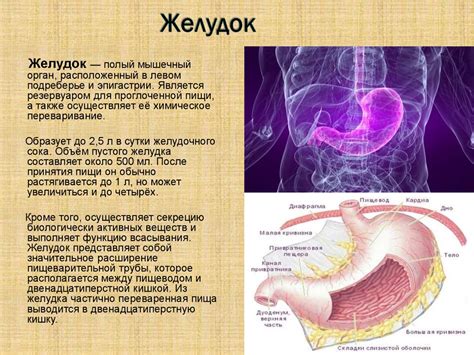 Контроль выделения желчи в кишечный тракт