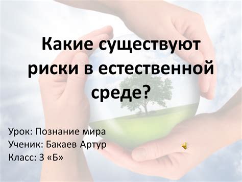 Концепция Сныйта: суть и значимость в естественной окружающей среде