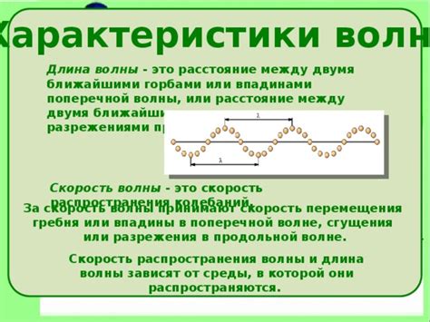 Концепция поперечной волны: основные аспекты и характеристики