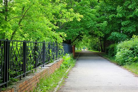 Кремационные аллеи в парках и скверах