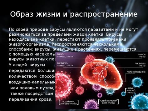 Кровососущие летуны: образ жизни на крови