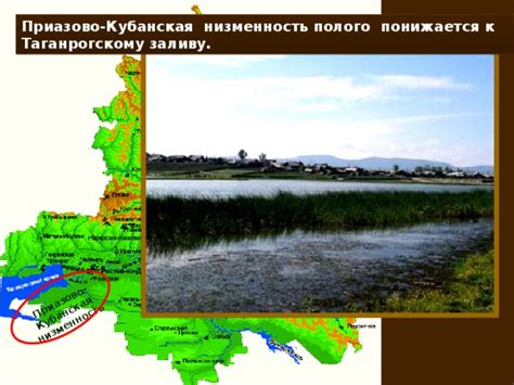 Кубанская низменность: плодородные почвы и солнечные летние дни