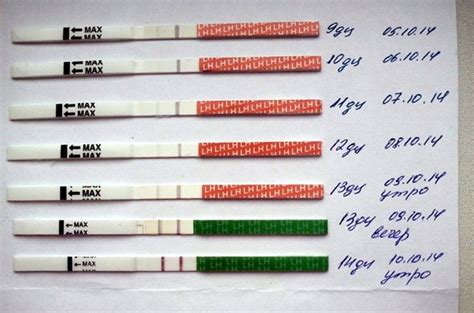 Лабораторные методы: использование тестов и анализов для определения момента овуляции