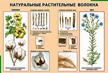 Лапти: растительные волокна