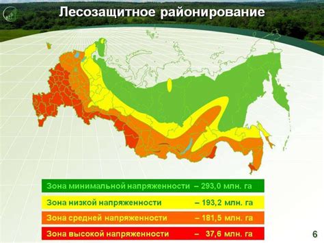 Лесные районы