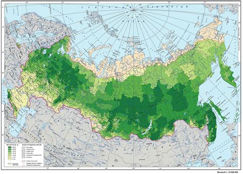 Лесные территории Центрального региона России