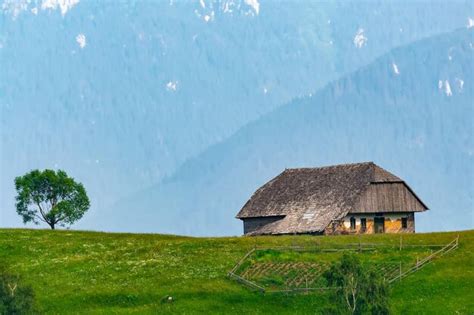 Лесные уголки со зелеными пастбищами для богатой добычи