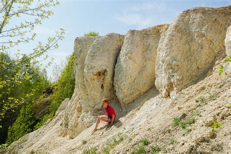 Лесопарк Бутово – оазис для любителей поиска природных сокровищ