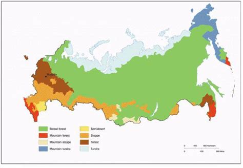 Летние края России: климатические условия и особенности сельскохозяйственного производства