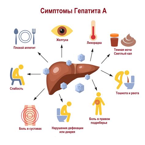 Лечение гепатита алиментарного генеза