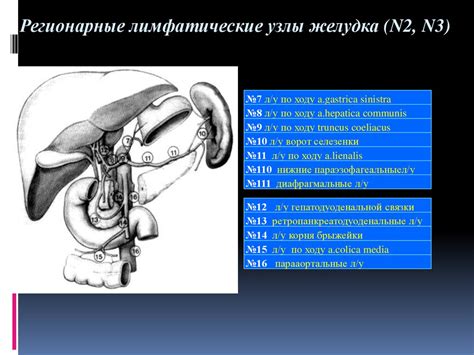 Лечение гетеротопии слизистой желудка: современные подходы