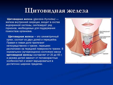 Лечение гиподенсного образования в щитовидной железе