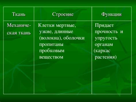 Лигнин - материал, отвечающий за прочность и упругость стенки клетки растения