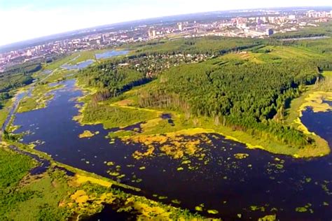 Лосиный остров: заповедник с уникальной природой и разнообразием живых организмов