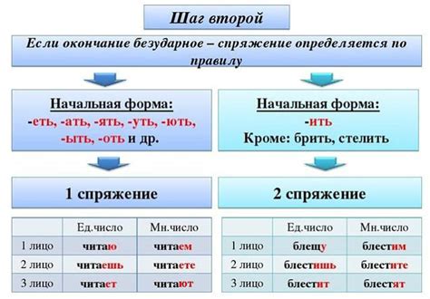 Любимые упражнения по спряжению глаголов в разных временных формах