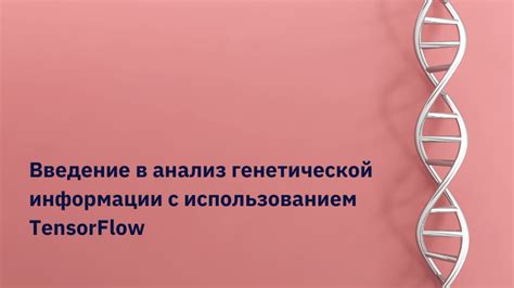 Магия науки: предсказание внешности ребенка через анализ генетической информации