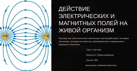 Магниторецепторы в носовой области медведей: связь с магнитным полем Планеты.