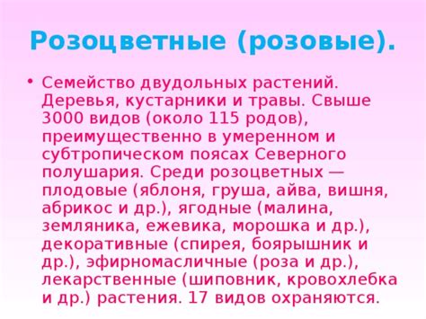 Малина в ожидании родов: выгоды и возможные опасности