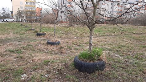 Места, где можно сдать старые аккумуляторы в Великом Новгороде