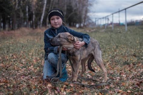 Места в Тюмени, где помогают бездомным кошкам