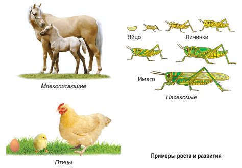 Место, воодушевляющее на рост и развитие