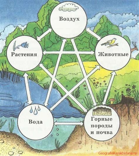 Местонахождение и географическая взаимосвязь с другими водными образованиями