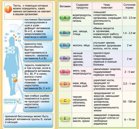 Местоположение центральных ядер и роль их в организме