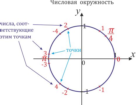 Местоположение числа -π/3 на окружности: особенности и разновидности