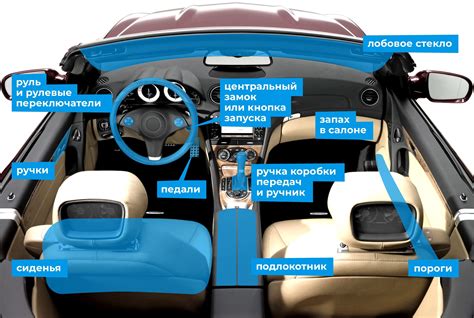 Место расположения защитных устройств внутри салона автомобиля