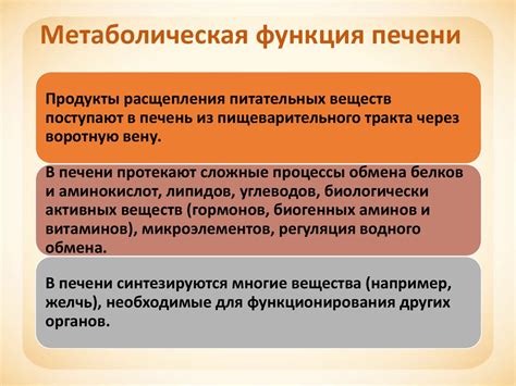 Метаболическая функция печени