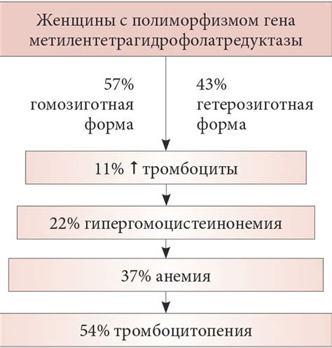 Методы анализа содержания фолатов в организме