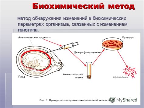 Методы выявления окисленного вина