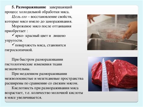 Методы оттаивания птичьего мяса при помощи воды